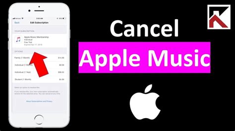 If You Cancel Apple Music, Do You Lose Your Downloads? A Detailed Analysis