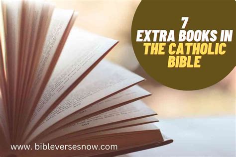 Who Wrote the 7 Extra Books in the Catholic Bible: A Diverse and Intriguing Story